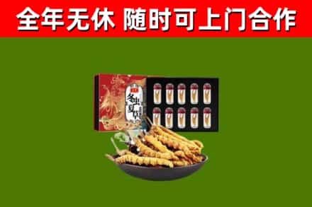 嵩县回收冬虫夏草价格